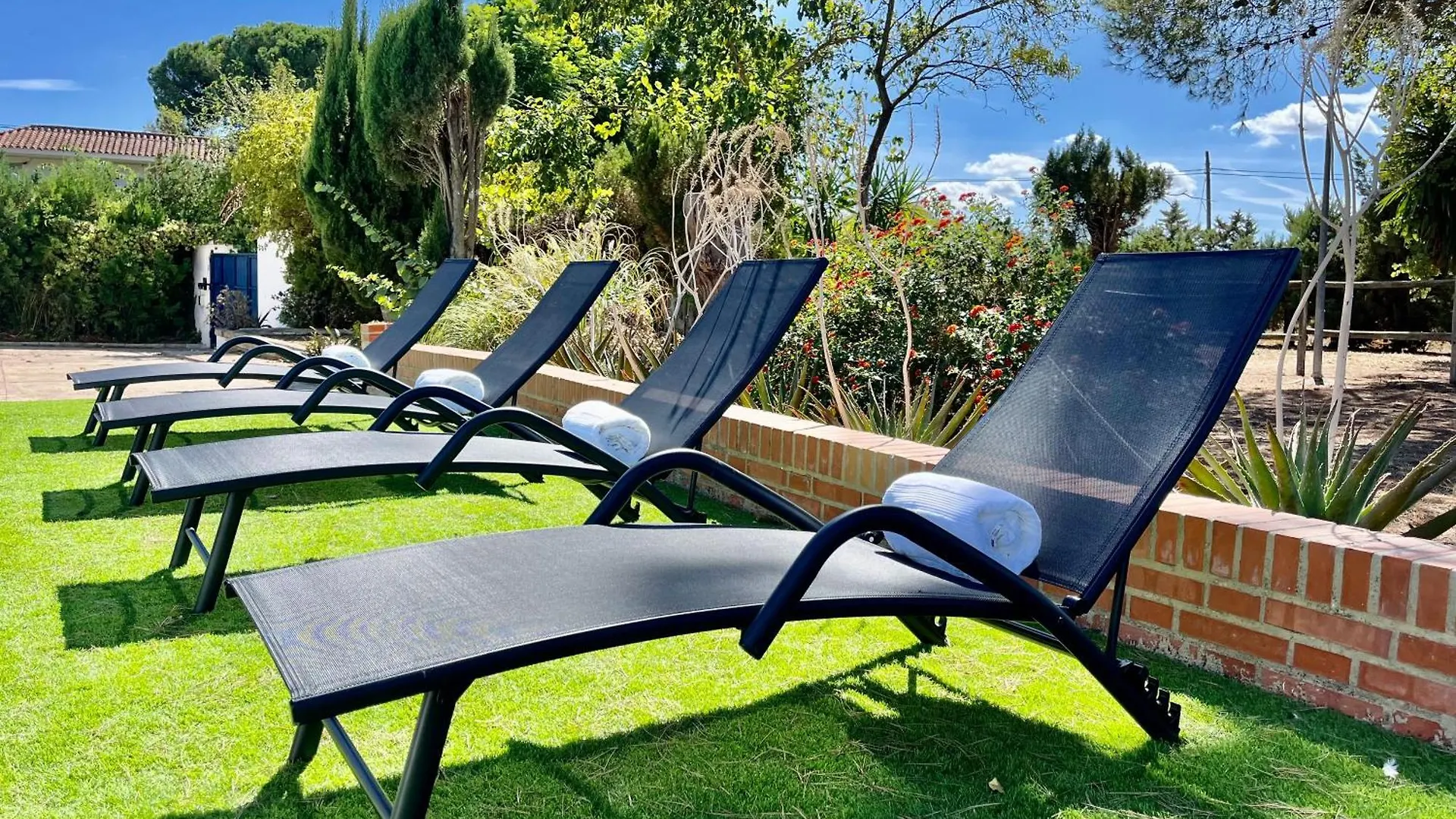 Villa San Patricio I Piscina Privada I Jacuzzi Spa I Bbq I Ps5 I Aire Acon I 3000M2 I 5Min-Centro Jerez de la Frontera Spain